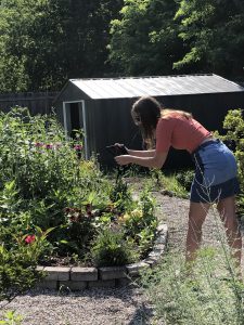 Ellie snaps photos in the butterfly garden